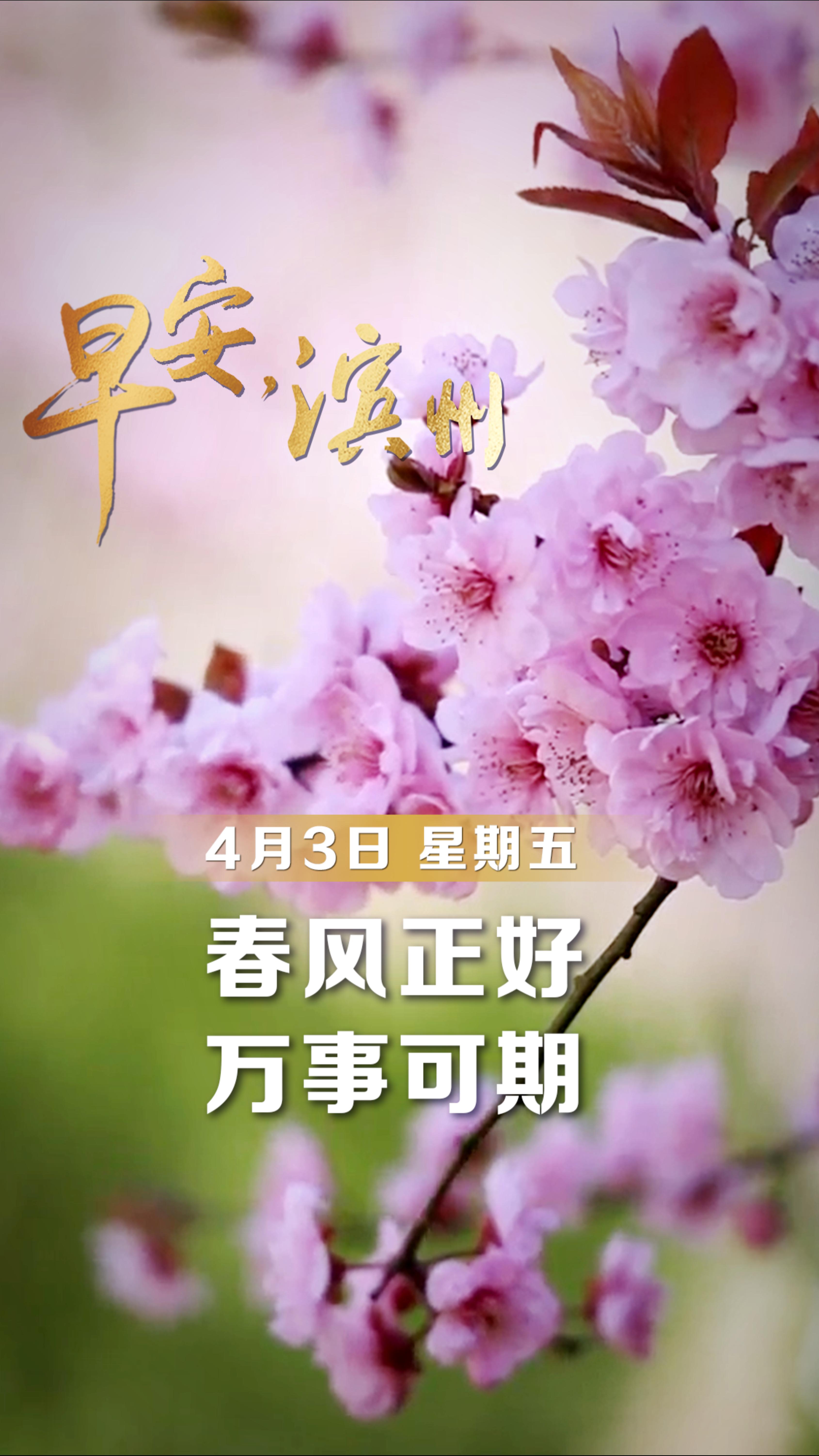 【早安】4月3日，周五，早安。清明晨风，微凉而清朗。思念如细雨，绵绵不绝；希望如新芽，破土而出。在这慎终追远的日子里，愿我们心怀感恩，珍惜当下。清明雨上，心自安宁。一杯清茶，一份追思。早安，愿你今日清净明朗。